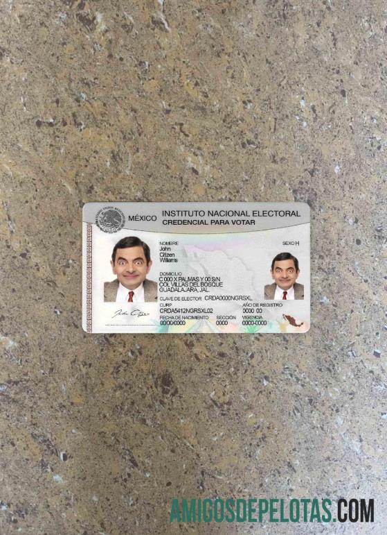 Mexico Instituto Nacional Electoral olhar de foto frente exemplo